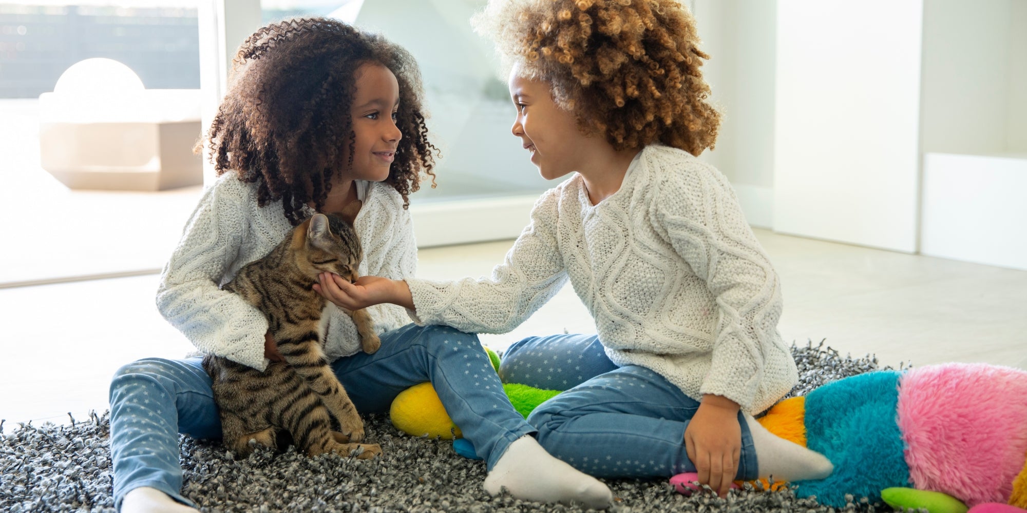 niños jugando con un gatito