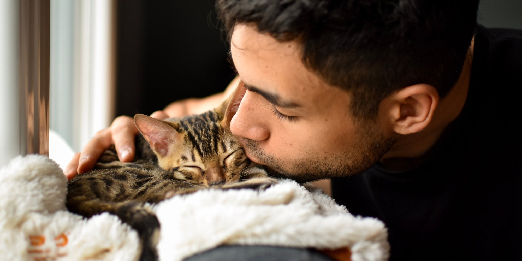 hombre besando un gatito