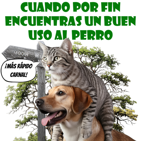 meme de gato y perro