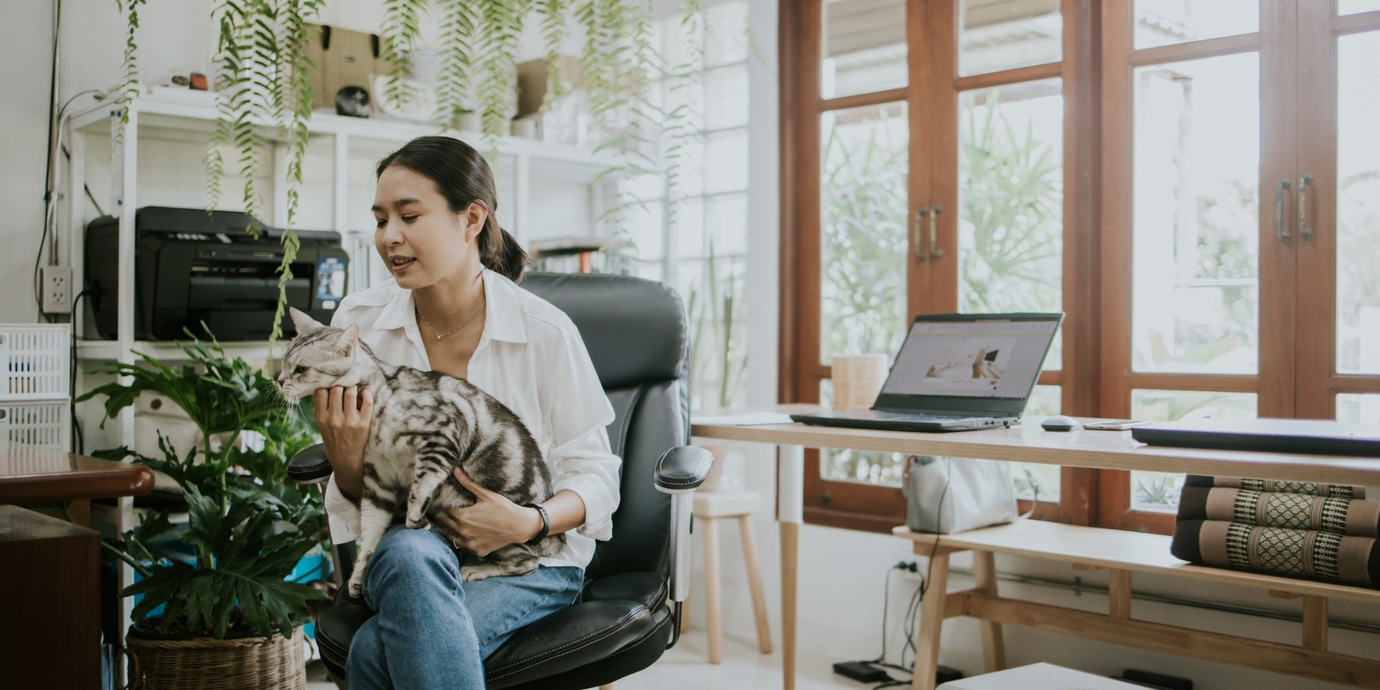 Amante de los gatos con oficinas ecológicas