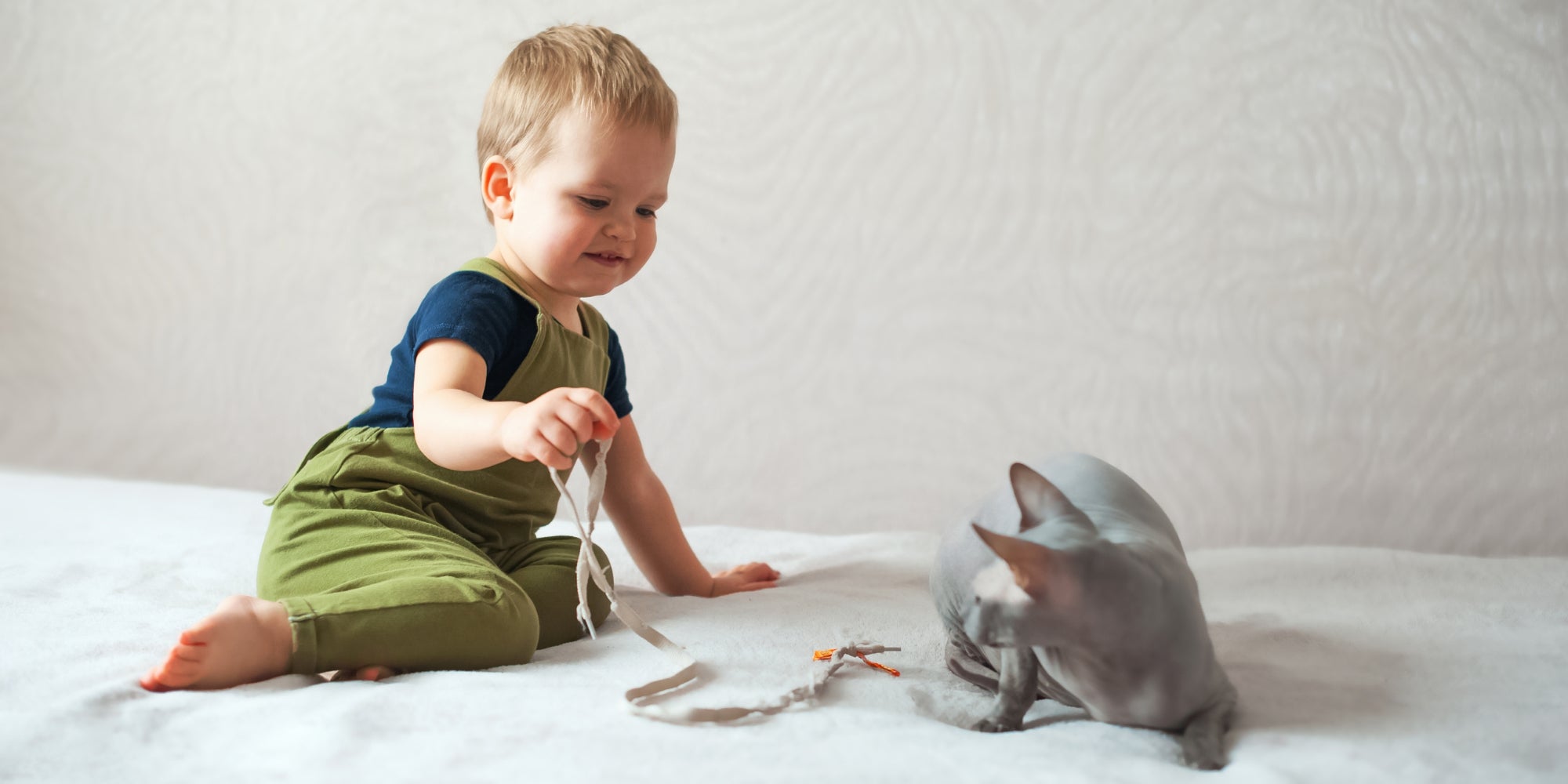 Divertido niño jugando con el gato esfinge