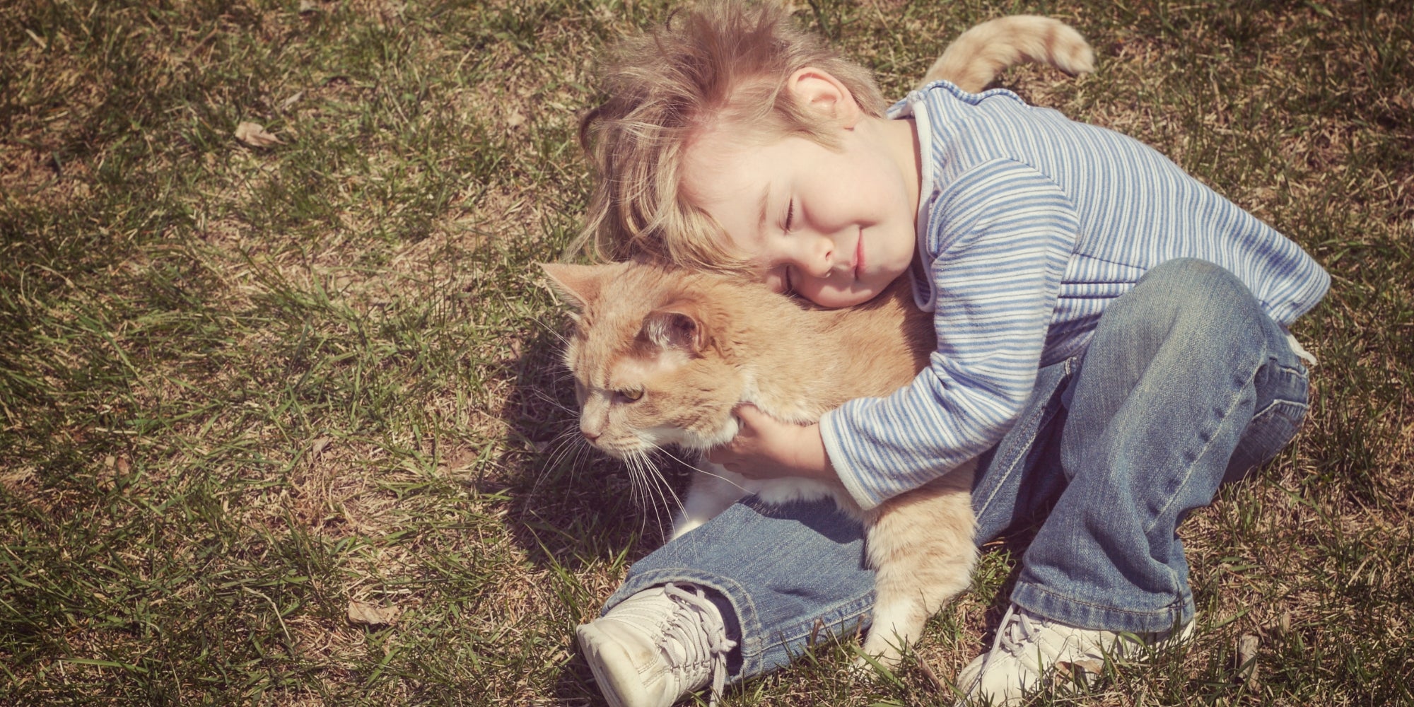 Un niño abraza a su gato