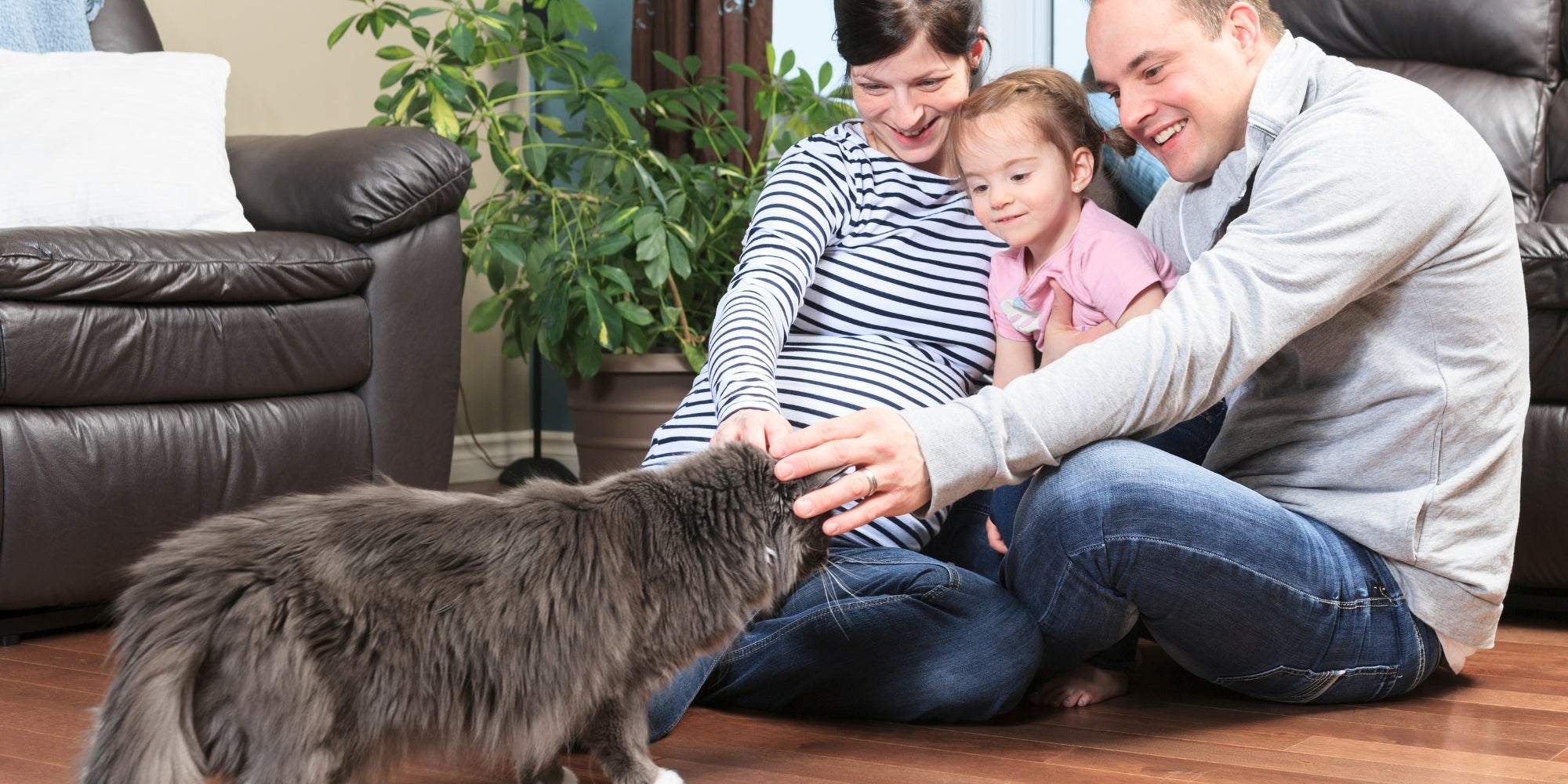 Una Familia y su gato