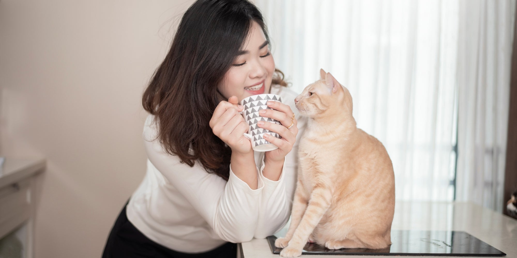 Hermosa mujer asiática amante de los gatos está jugando con el gato en su habitación