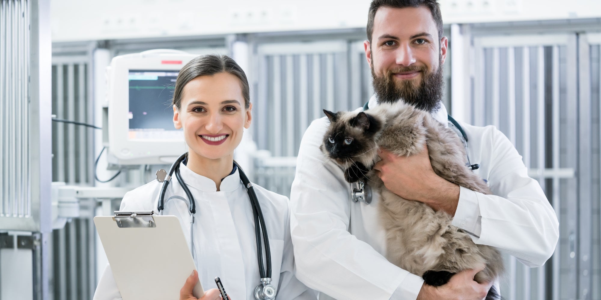Dos veterinarios con un gato