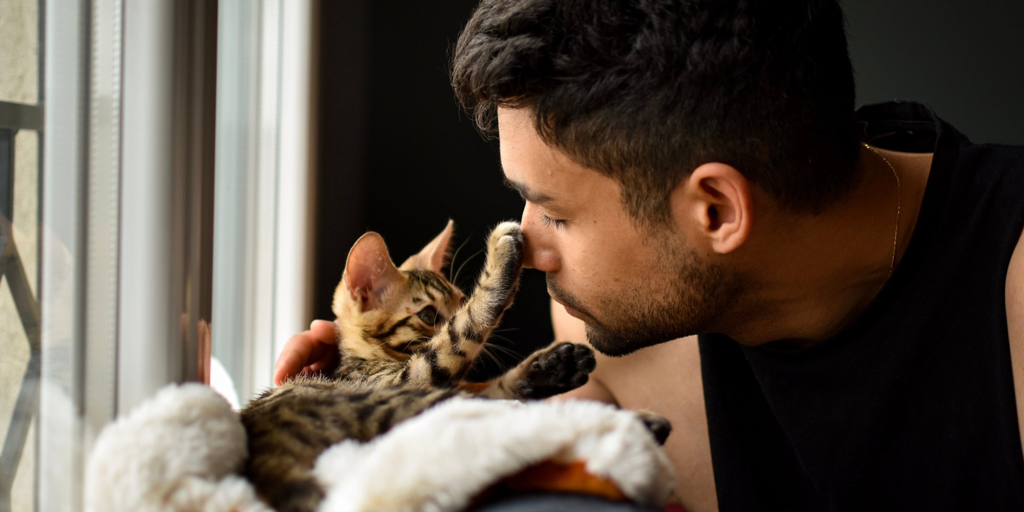Gatito gato de bengala mascota y el hombre abrazando