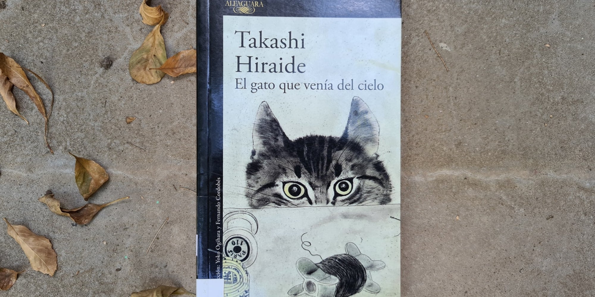"El gato que venía del cielo" de Takashi Hiraide