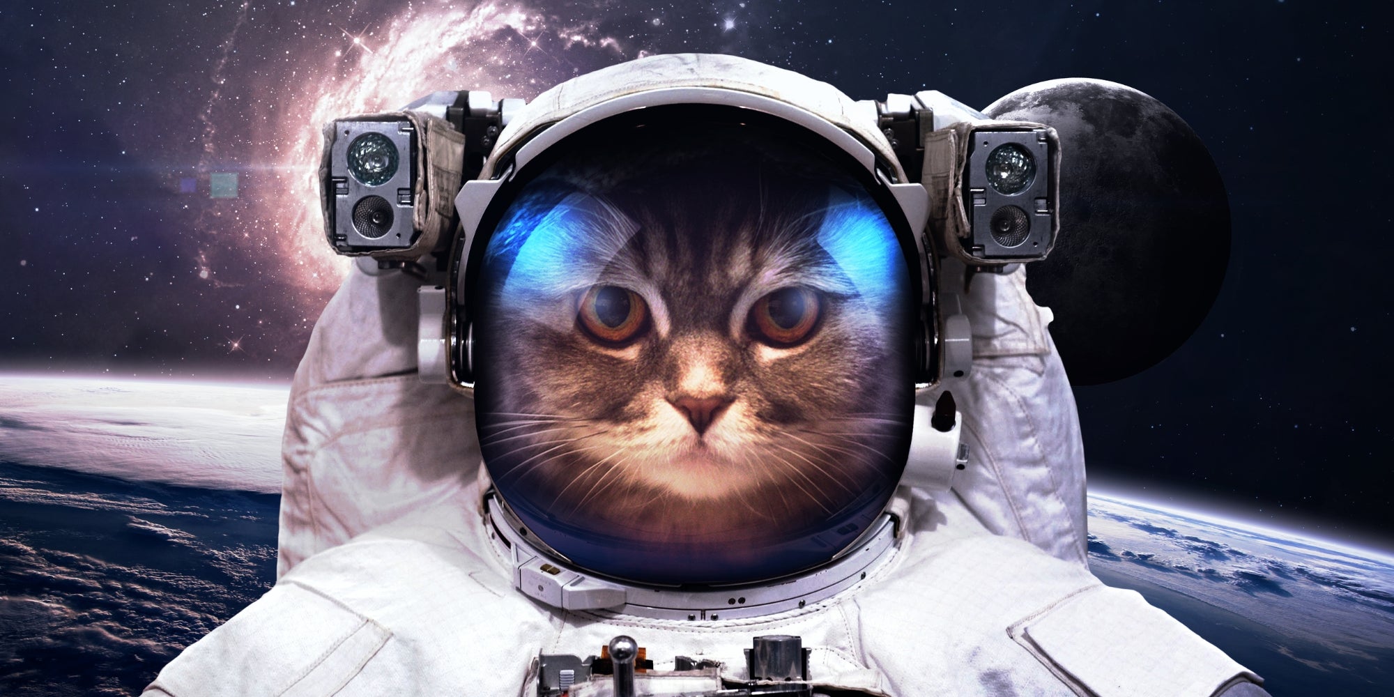 Gato Astronauta en el espacio exterior