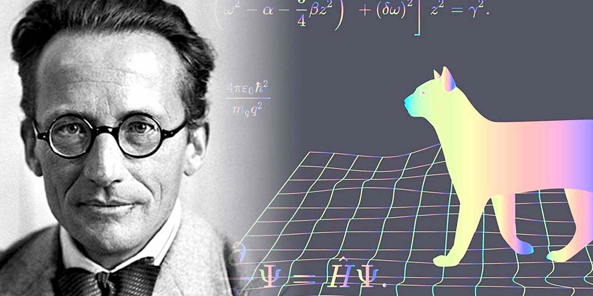 Erwin Schrödinger y el gato
