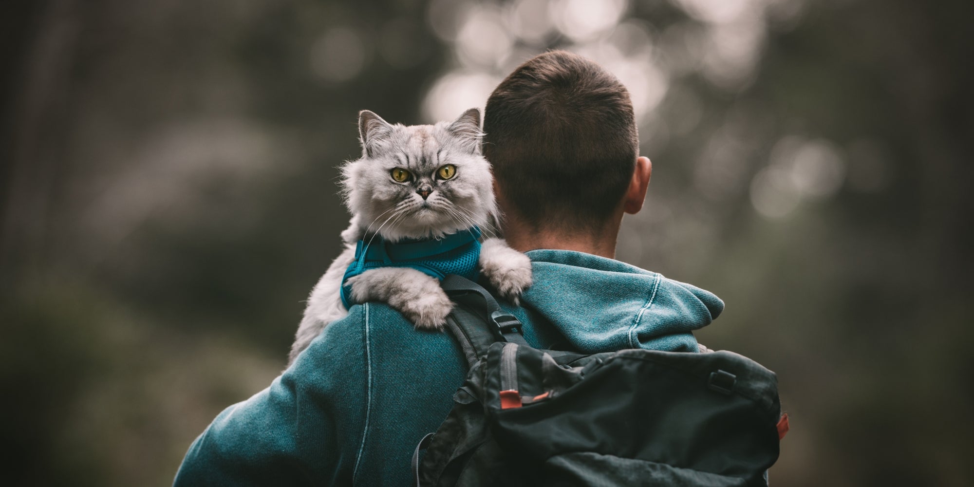 Senderismo con gato. Gato sentado en el hombro. Paseando al gato. Personas y mascotas. Humano y animal. Concepto de amor humano y mascota.