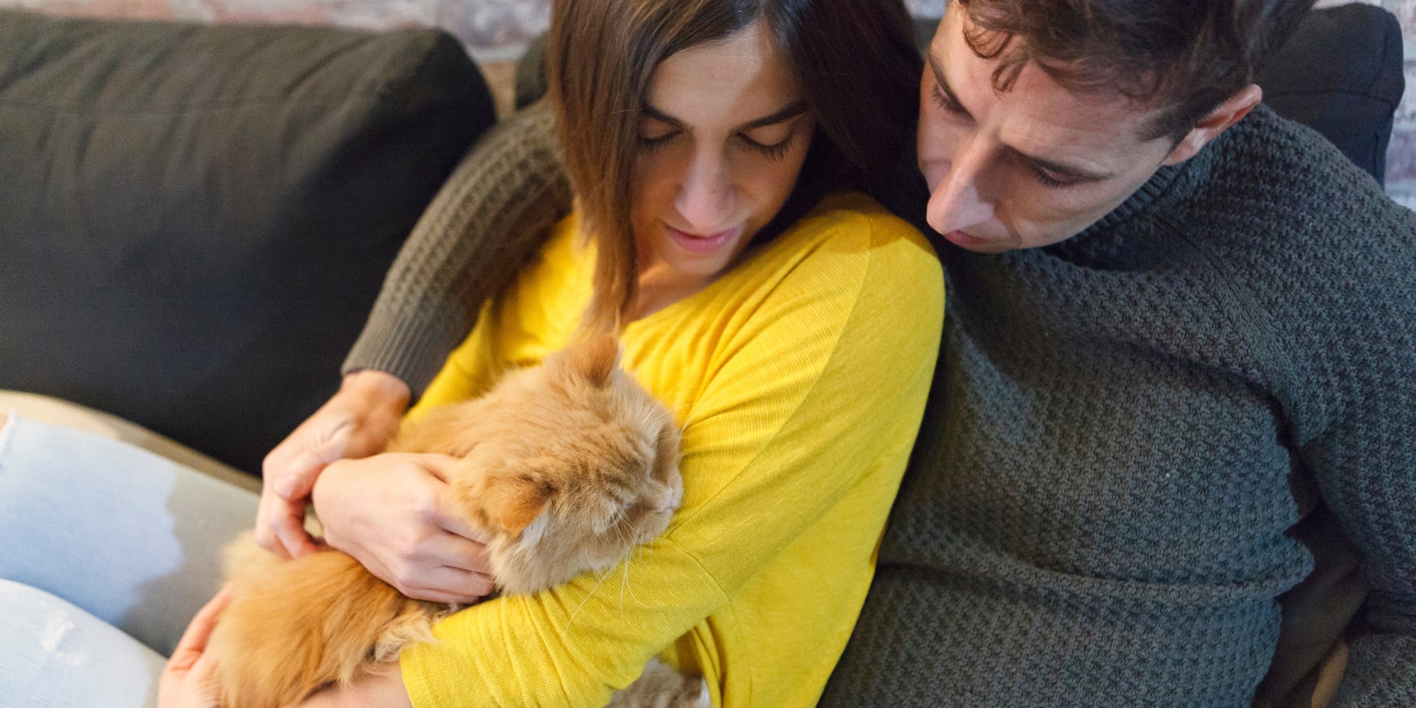 Una pareja acaricia a su gato adoptado