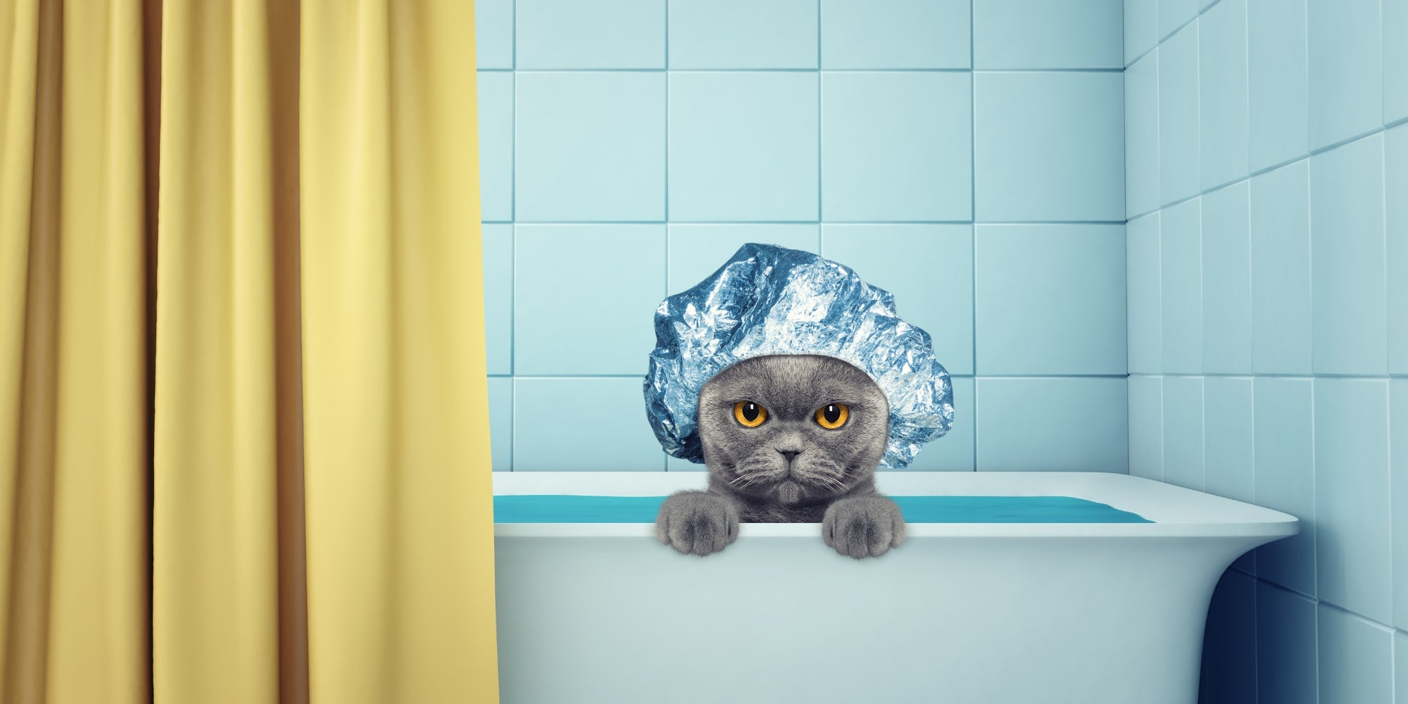 lindo gato mojado en el baño
