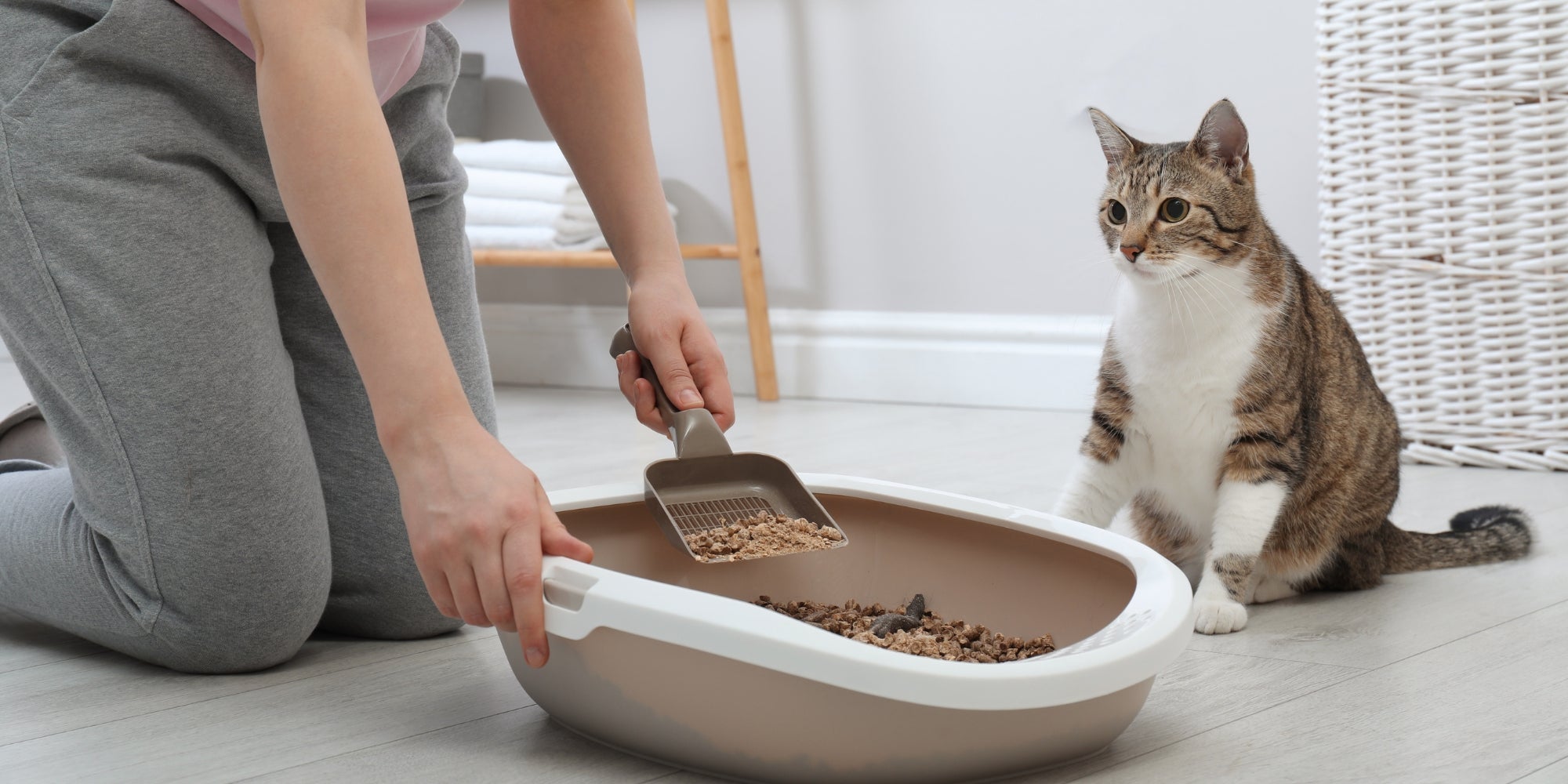 Mujer limpiando la bandeja sanitaria de su gato en casa