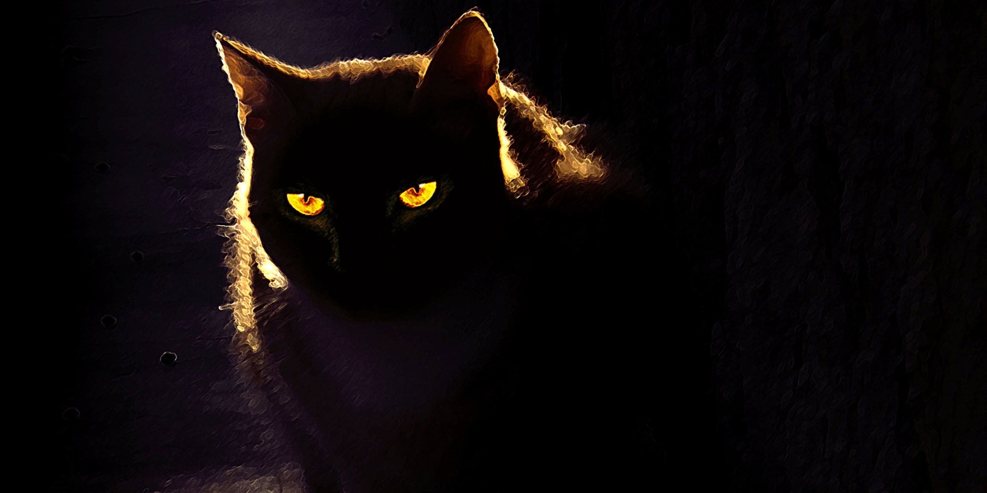 Gato en la oscuridad