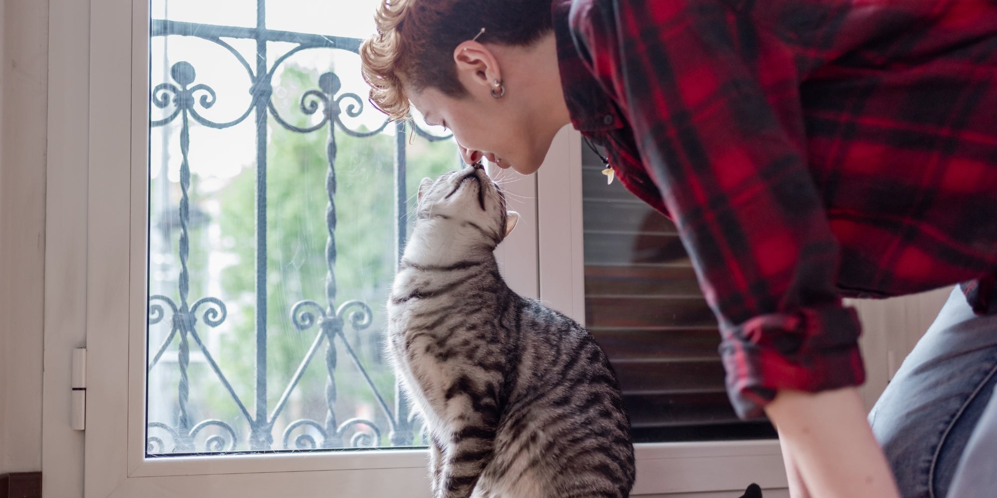 Vínculo entre el gato y su dueño