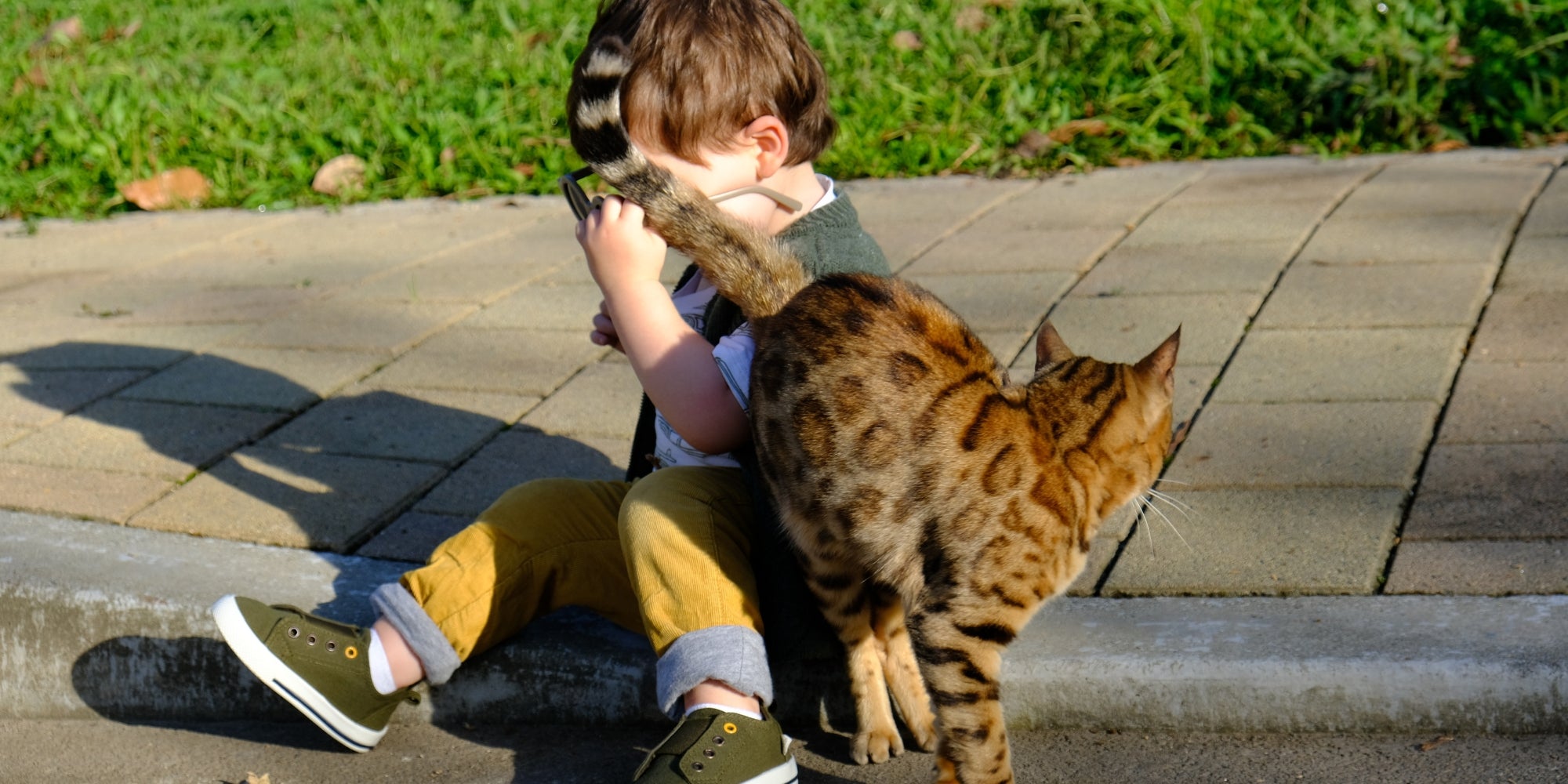 Niño y gato jugando al aire libre
