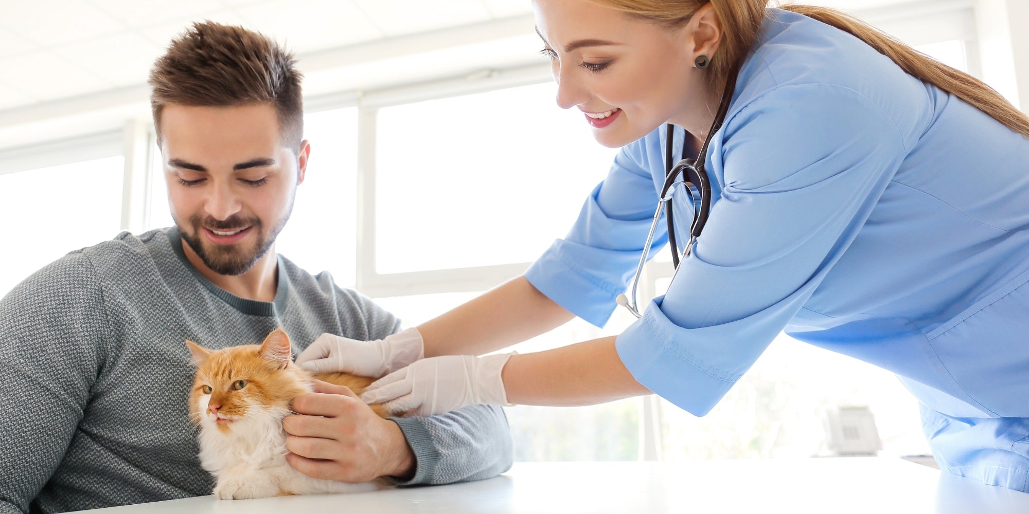 Propietario con un gato que visita al veterinario