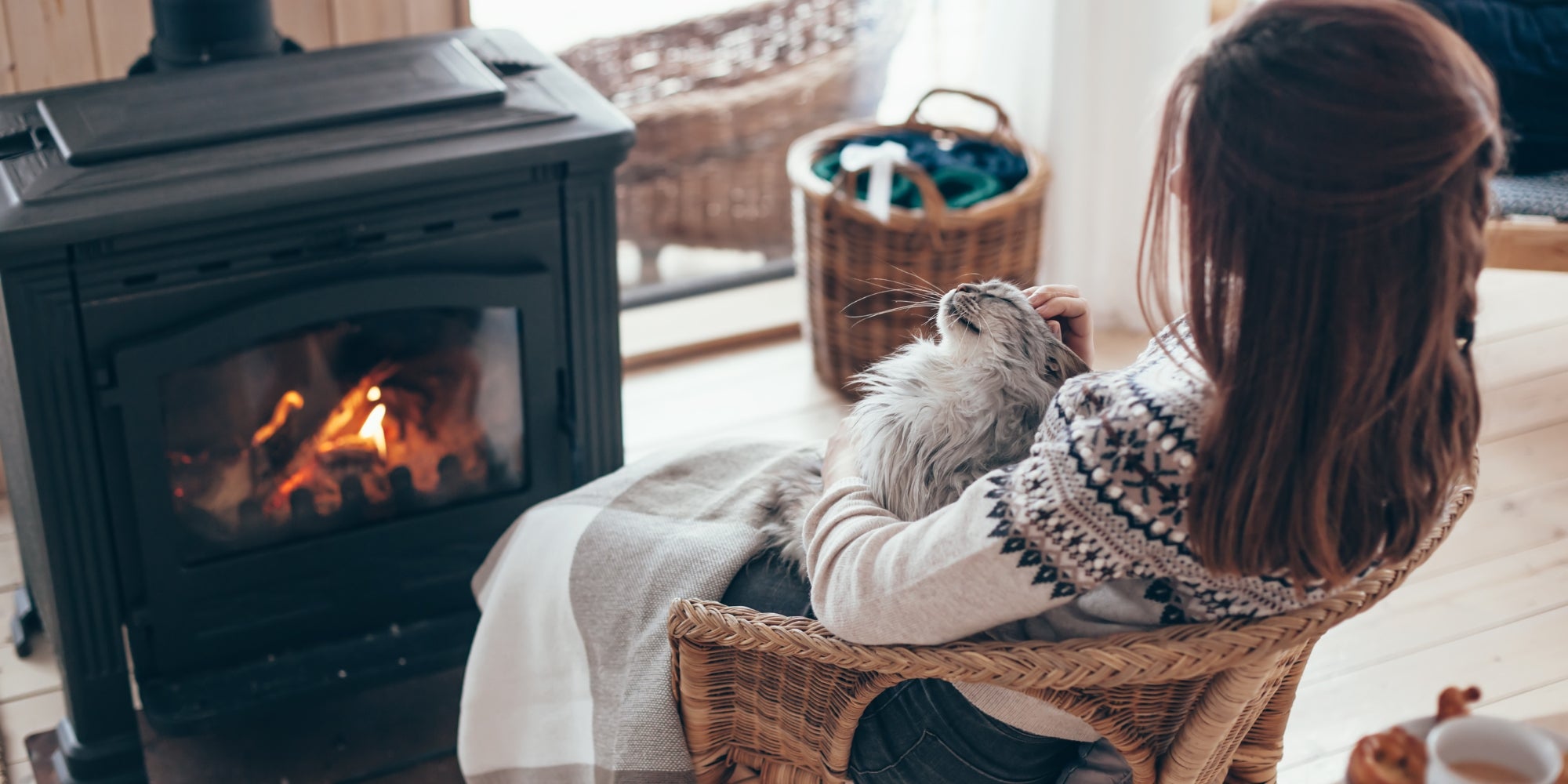 Humano con gato descansando junto a la chimenea