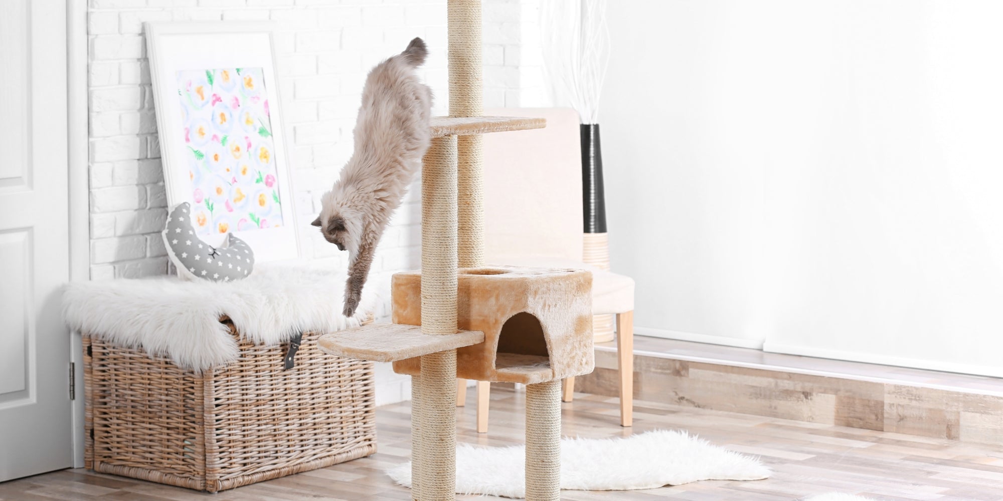 Gato jugando en el árbol en casa