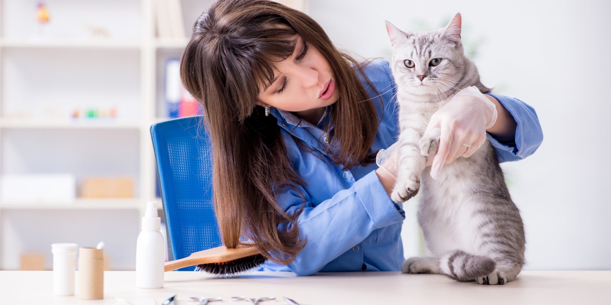 Gato en clínica veterinaria