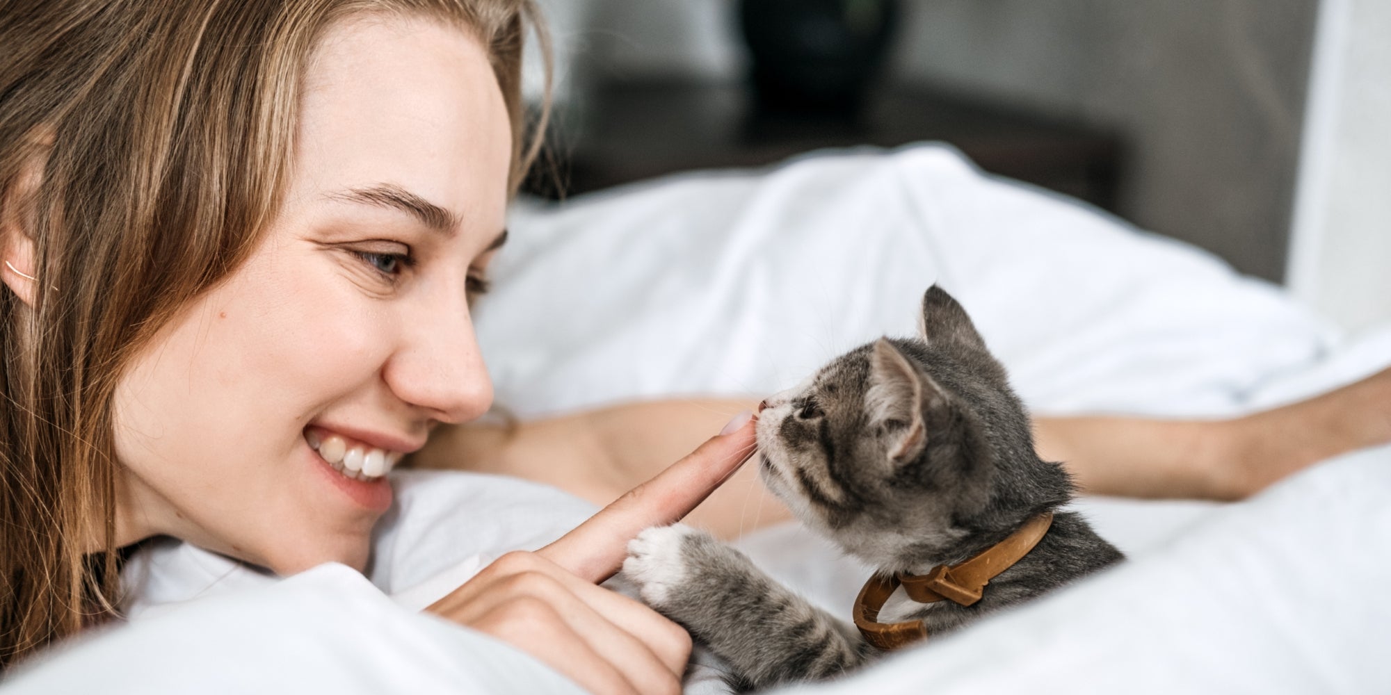 Retrato de mujer jugando con gatito gris adoptado sin hogar