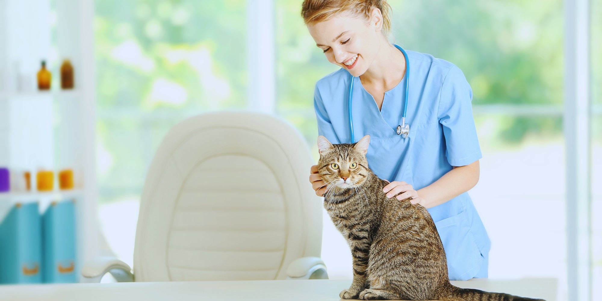 Veterinaria revisando a un gato en la clínica