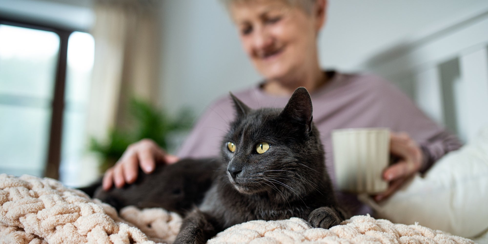 Mujer mayor feliz con gato descansando en la cama en casa