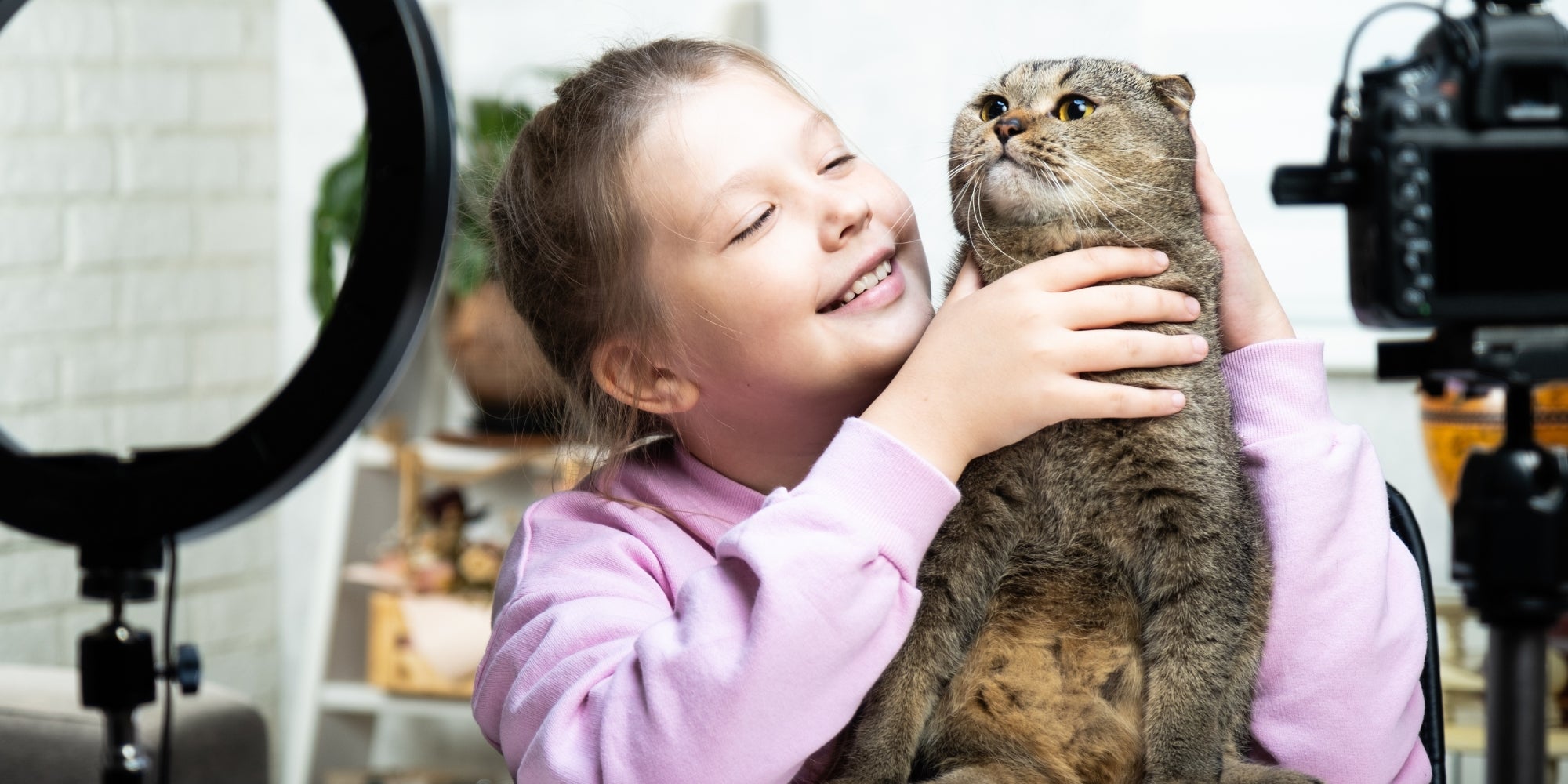 Sesión Fotográfica de un gato