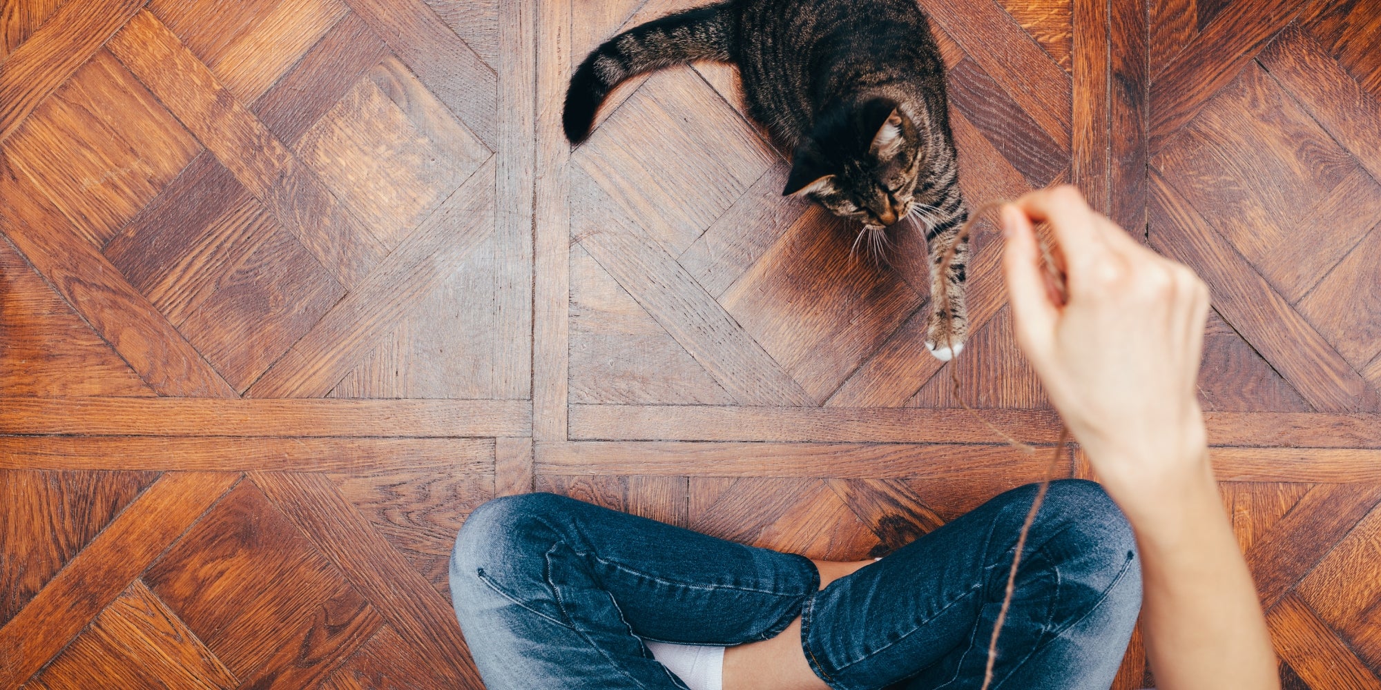 mujer y un gato