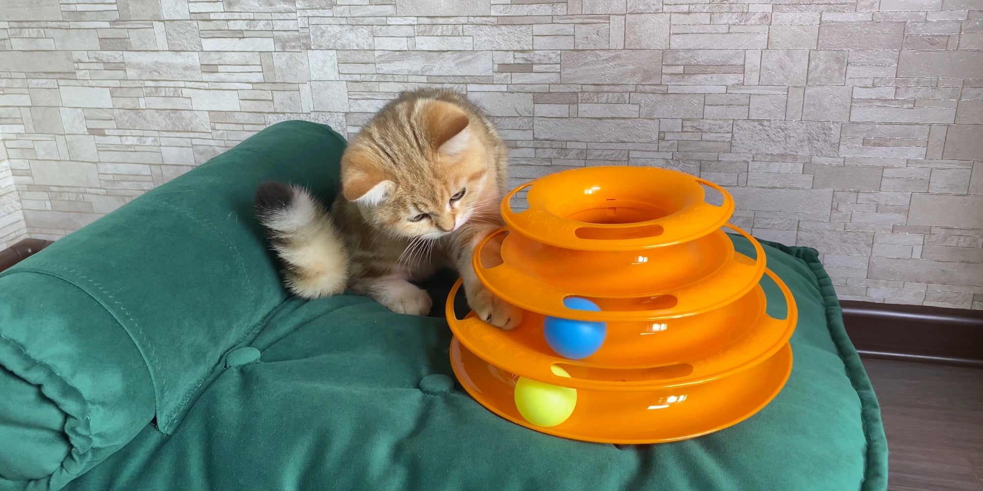 Pequeño gatito rojo a rayas jengibre jugando con juguete de gato en la cama del gato verde.