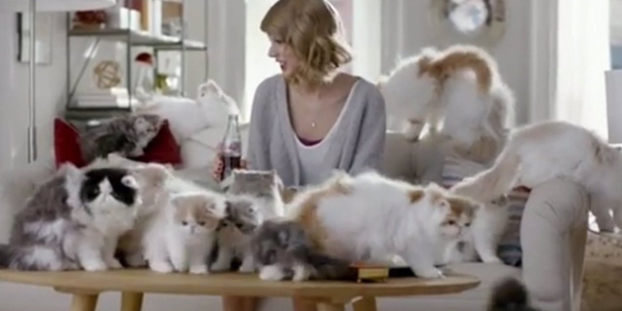 Taylor Swift y sus gatos