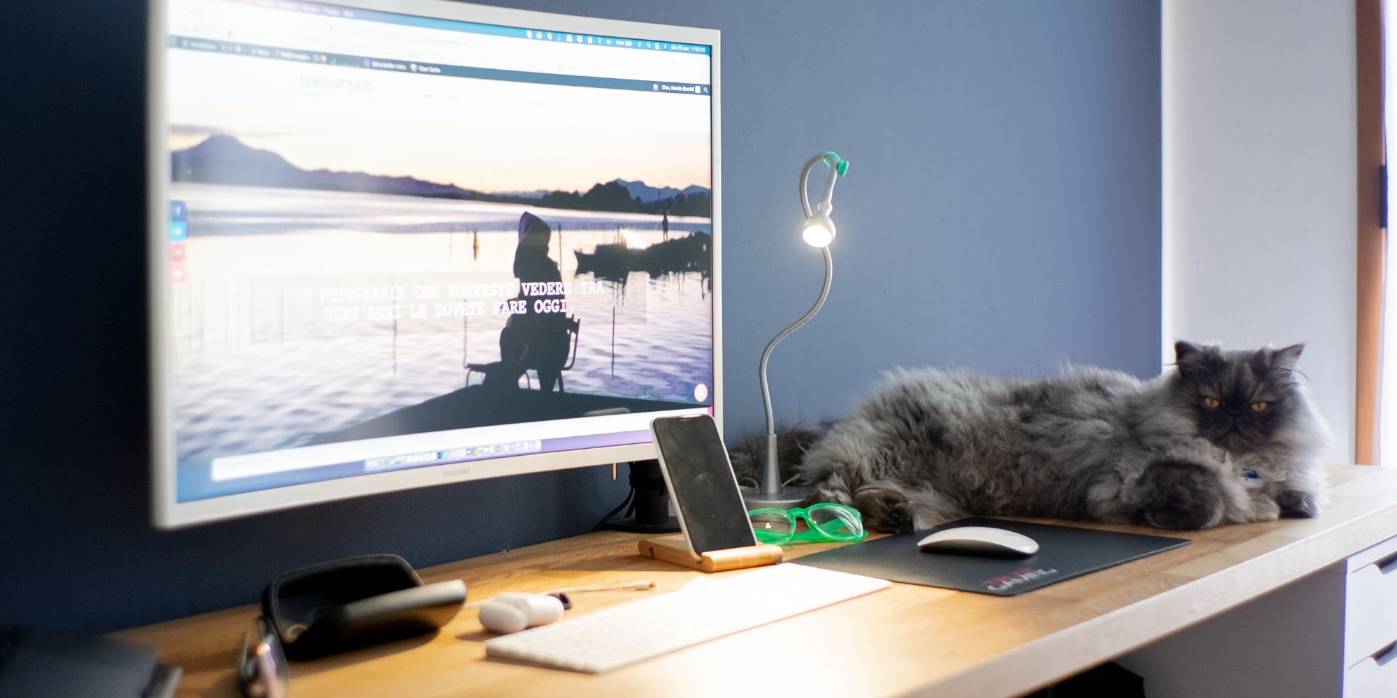 un gato relajado en un escritorio