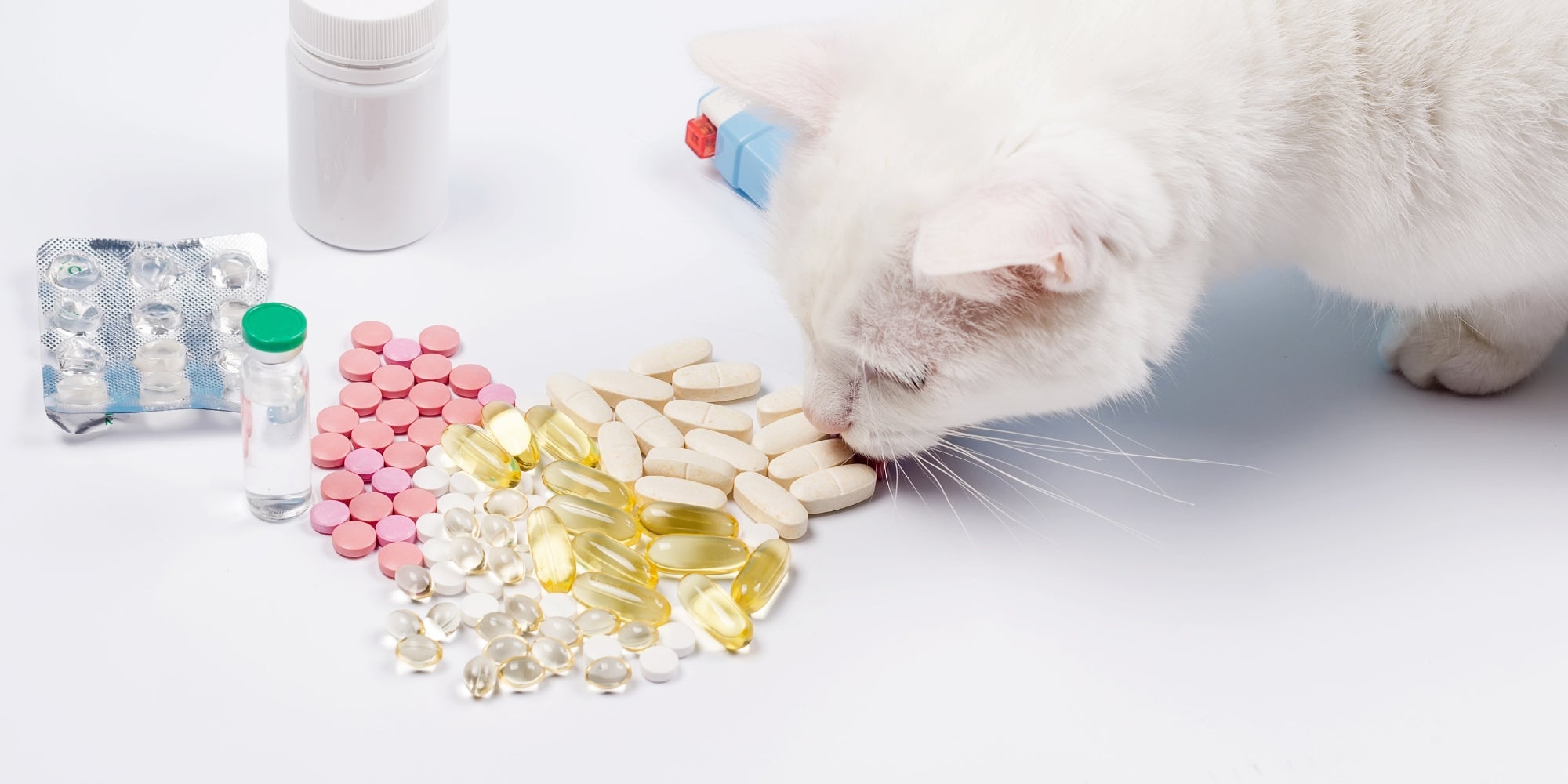 Vitaminas o comprimidos para gato