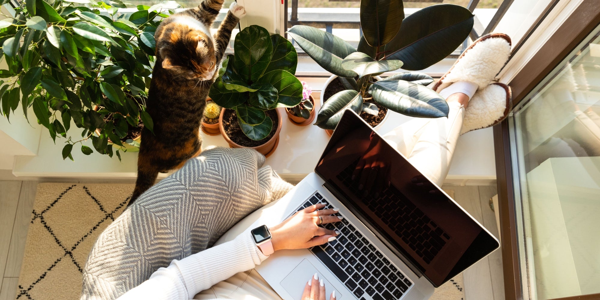 Mujer trabajando en casa con gato