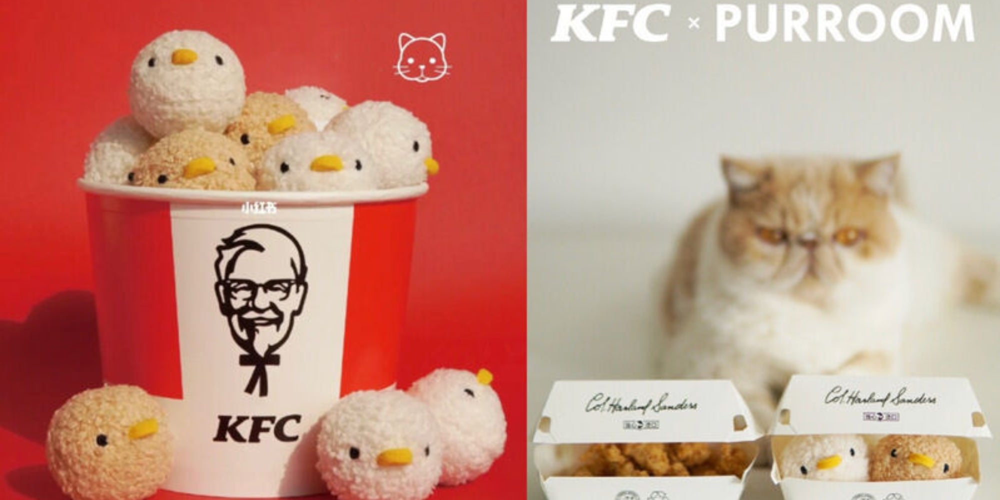 publicidad marketing con gatos