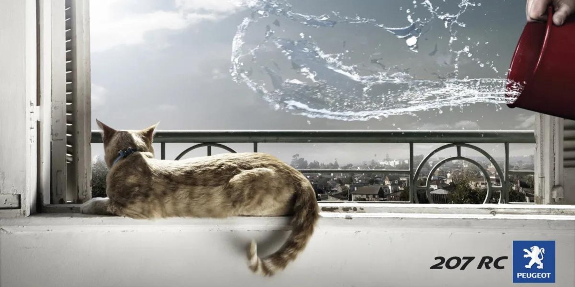 publicidad de marca con un gato