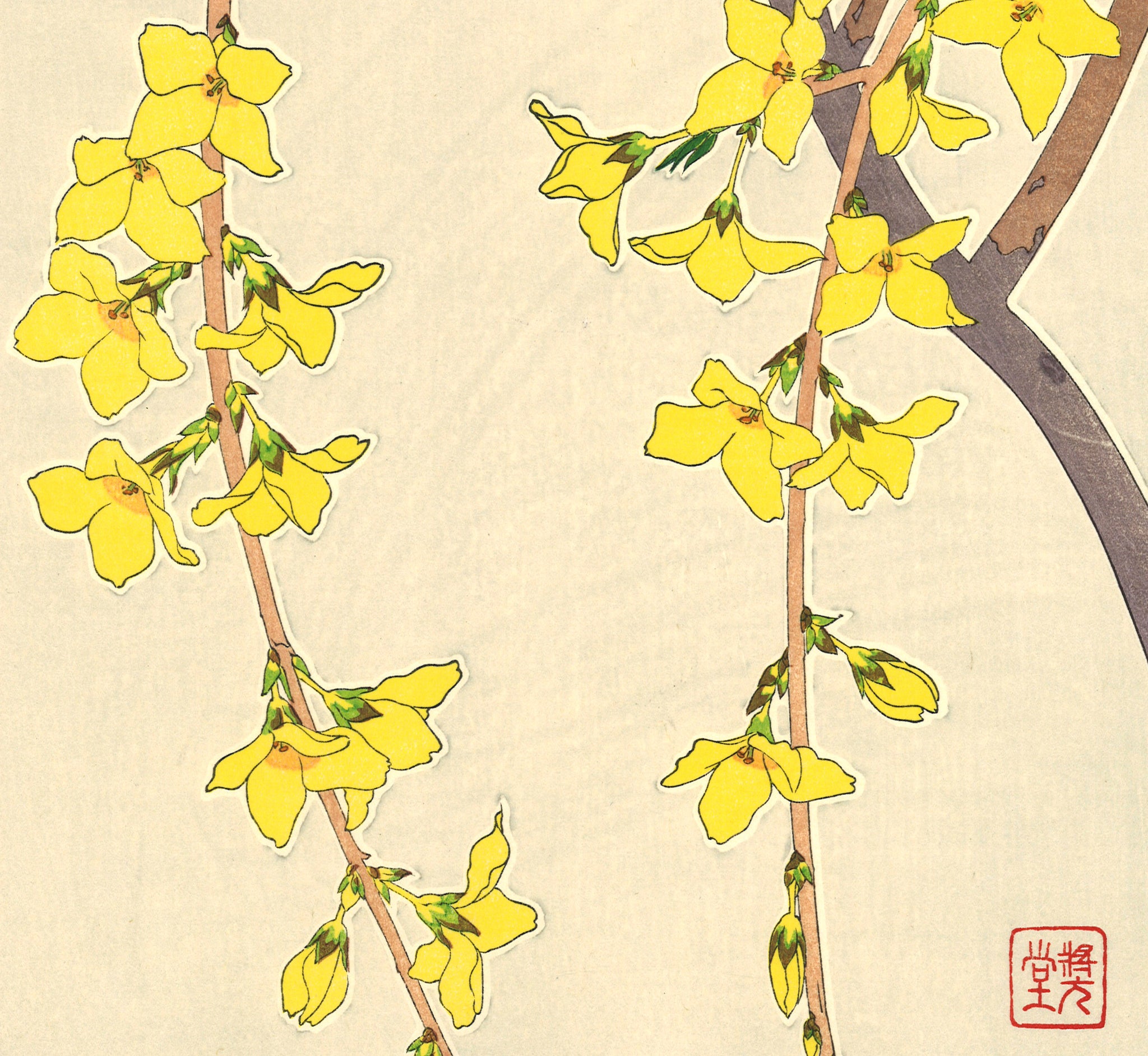 Kawarazaki Shodo - F95 Rengyo (Forsythia) - Free Shipping