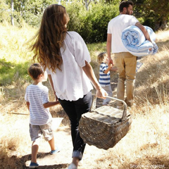 Go on a Family Picnic - in the Backyard