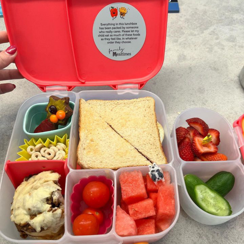 adventure snacks lunchbox