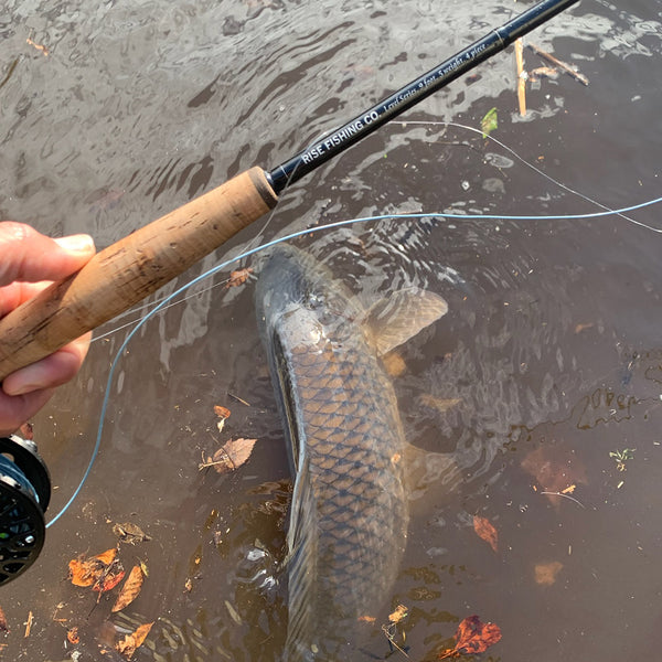 How to rig up (set up) a Fly Rod