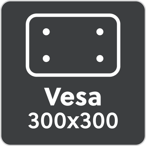 Vesa: 300x300