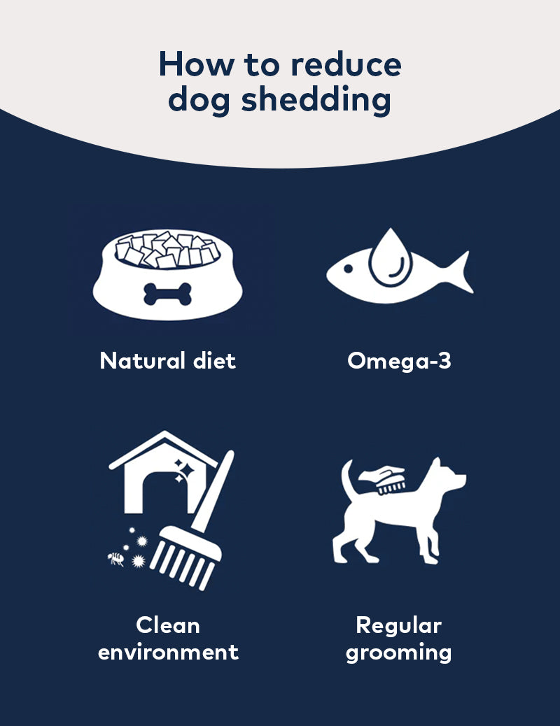 How to reduce dog shedding