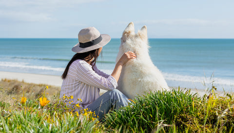 Best dog food for allergies. Woman stroking white dog sitting on a beach