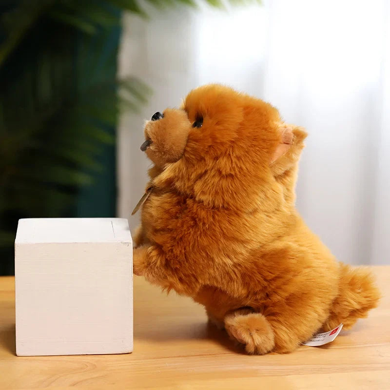 Kawaii Fluffy Chow Chow Plush Toy - Cute Lifelike Puppy for Kids - Image 6