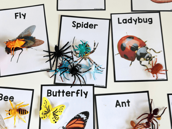 bug sensory bin