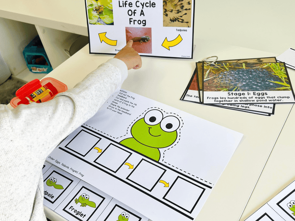 frog life cycle preschool activity