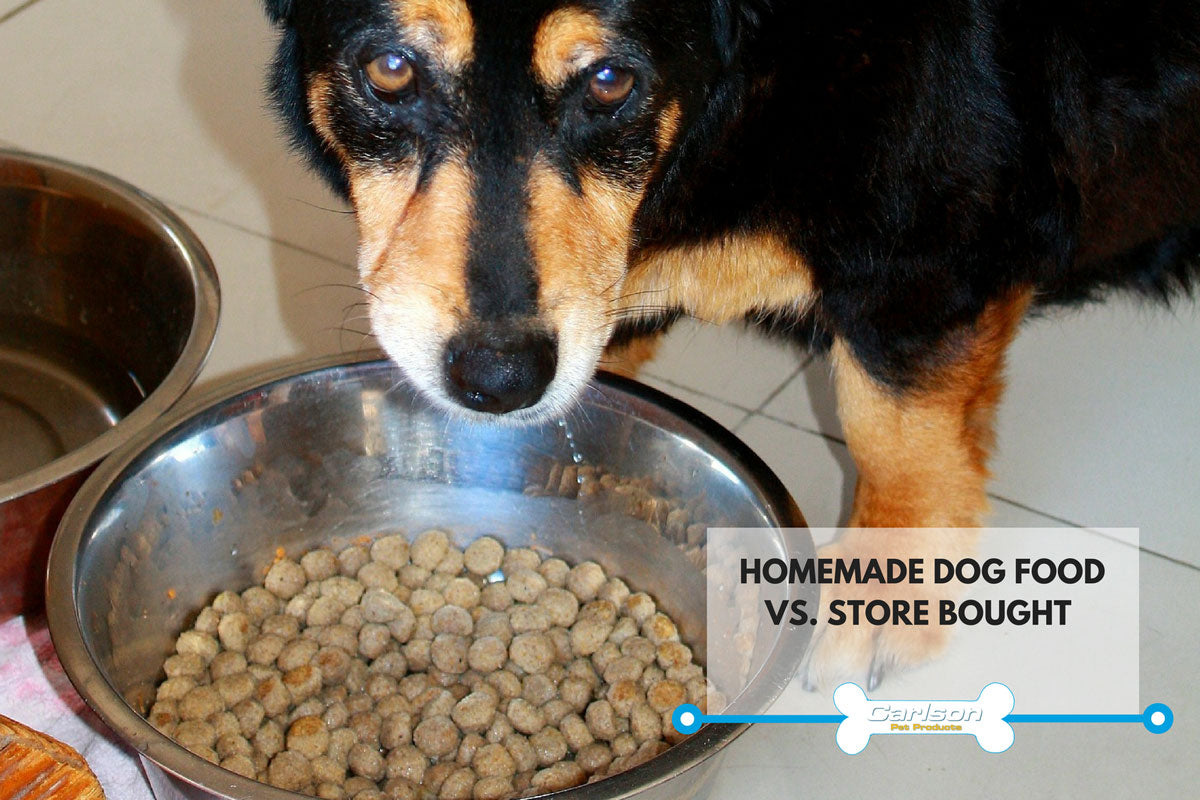 Black and brown dog over a bowl of kibble