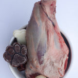 raw pet food bowl with lamb shank