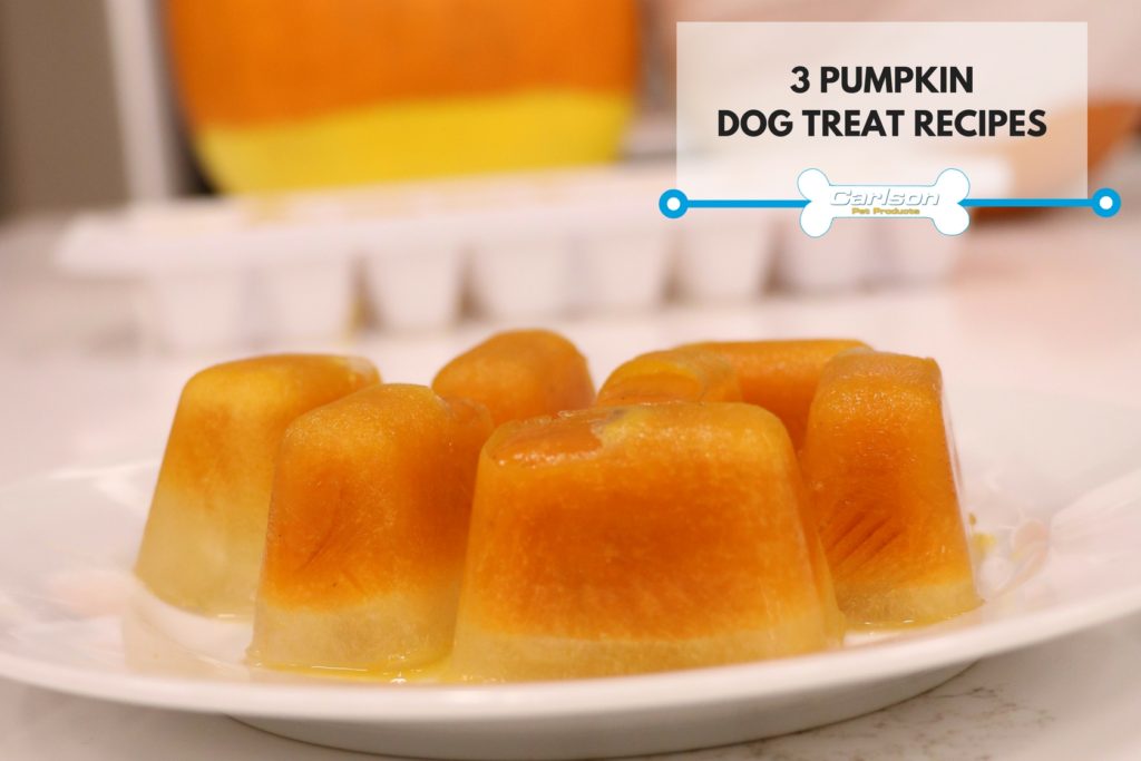 plate with ice cubes with pumpkin in them