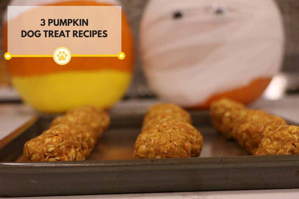 tray of peanut butter pumpkin rolls